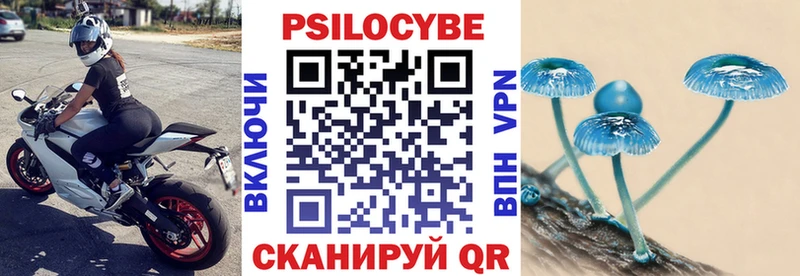Псилоцибиновые грибы Psilocybine cubensis  купить  цена  Сухиничи 